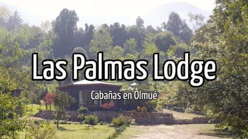 Las Palmas Lodge