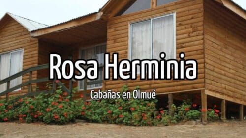 Rosa Herminia